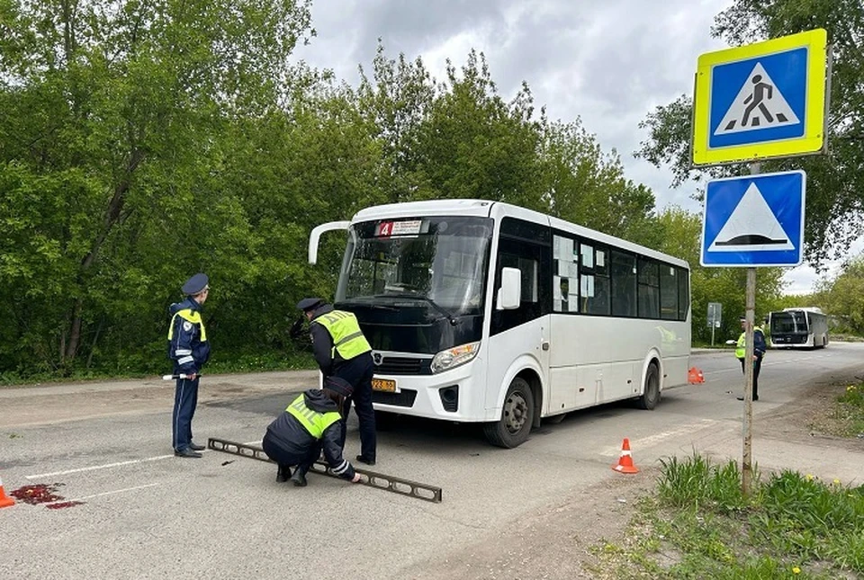 Мужчина попал под рейсовый автобус на пешеходном переходе. Фото: пресс-служба ГИБДД по Свердловской области