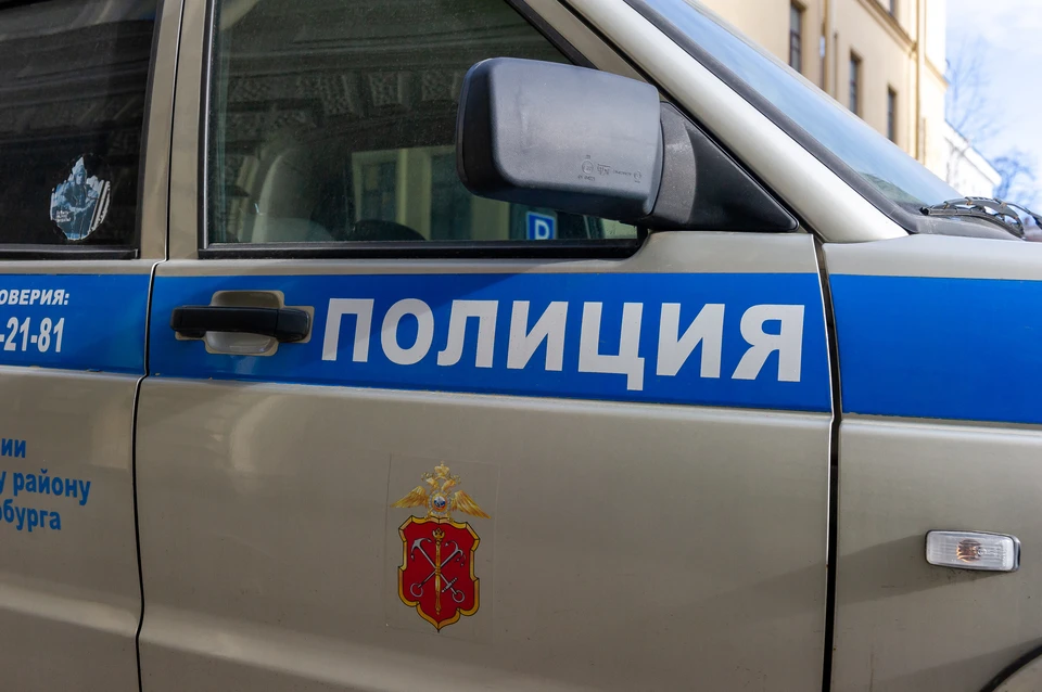 Полиция доставила в отделение петербуржца, избившего 15-летнего самокатчика на "зебре".