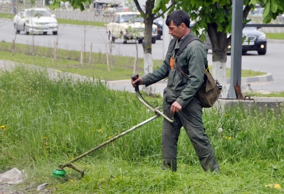 Врач-дерматолог Варенова посоветовала нижегородцам не косить траву в жару
