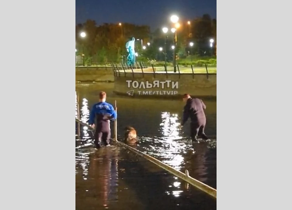 В результате собаку удалось успешно достать. Фото: телеграм-канал "Тольятти"
