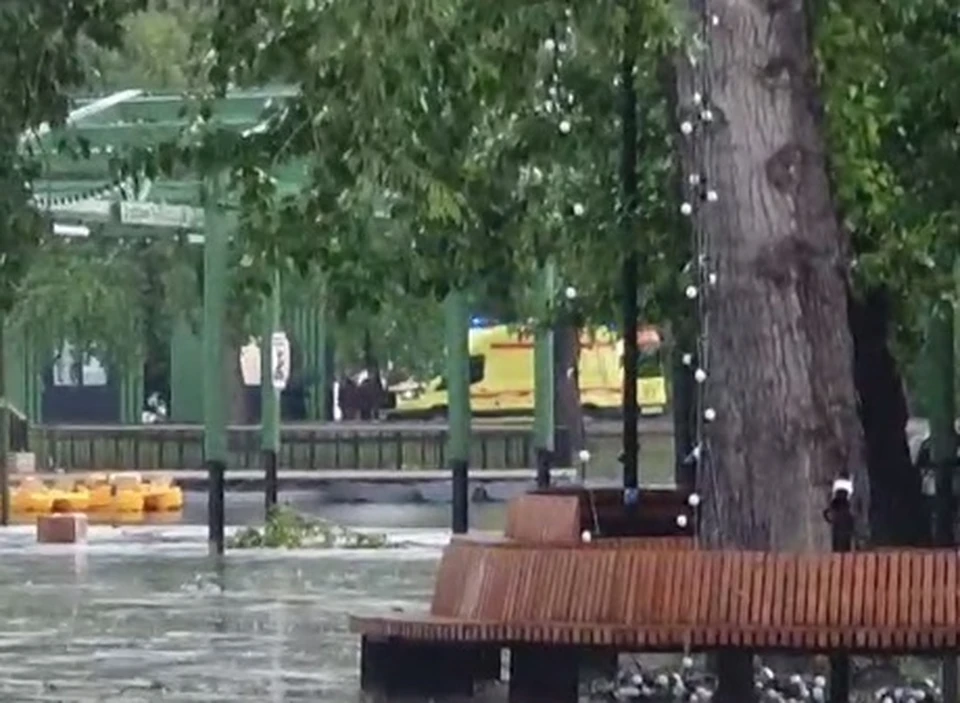 ЧП в парке. Скриншот видео в тг-канале Инцидент Барнаул