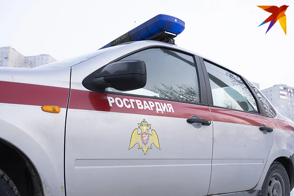 В Мурманске поймали молодого человека, который прикинулся сотрудником Росгвардии.