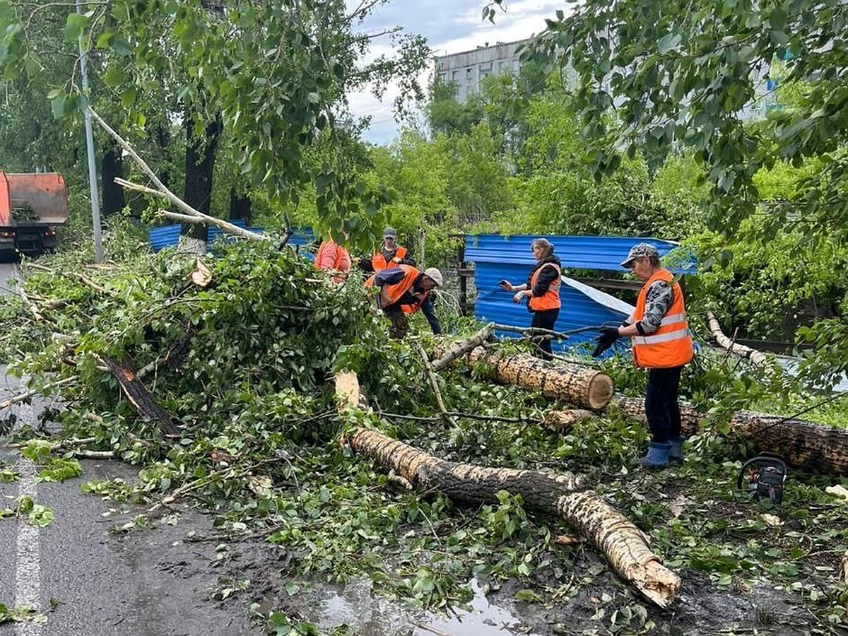 Затопленные улицы, поваленные деревья и отключения электричества: в  Новокузнецке устраняют последствия стихии - KP.RU