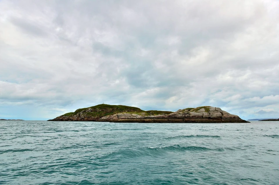 Прыгающего кита сняли на видео у острова Кильдин.