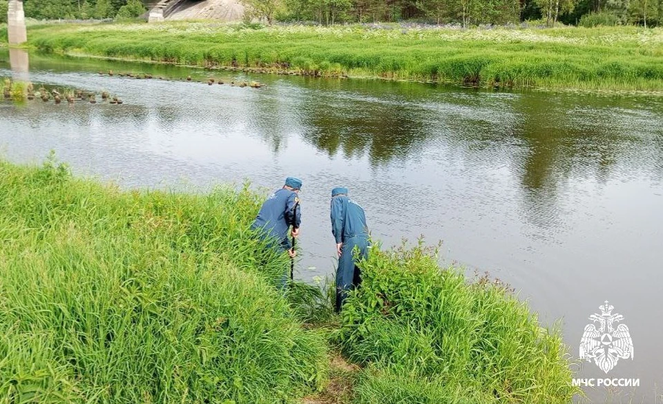 Тело мужчины нашли в реке в Смоленской области Фото: ГУ МЧС России по Смоленской области