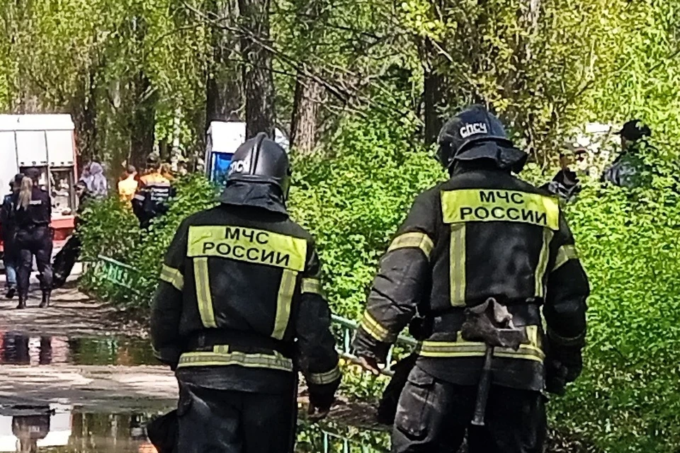 Два дома и деревянные сараи сгорели в Липецкой области за сутки