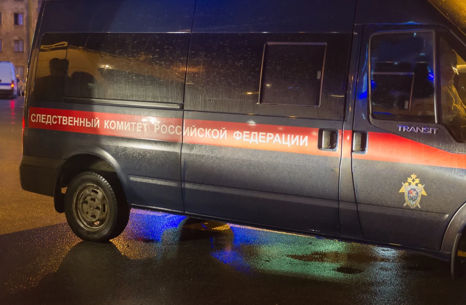 Следком возбудил уголовное дело и задержал водителя.