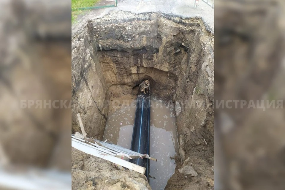 Фото: пресс-служба Брянской городской администрации.