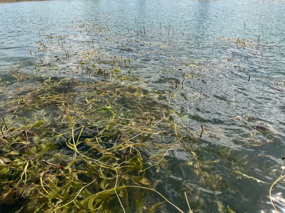 17-летний подросток купался на Кармановском водохранилище и утонул.