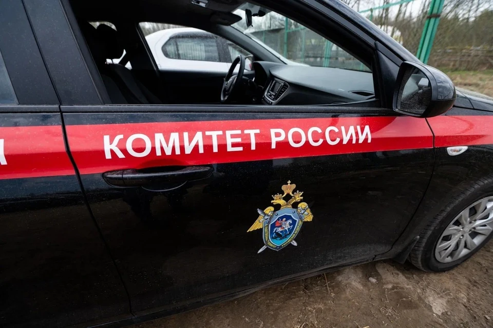 Подозреваемый в жестоком убийстве отца на улице Бадаева умер в больнице Петербурга.