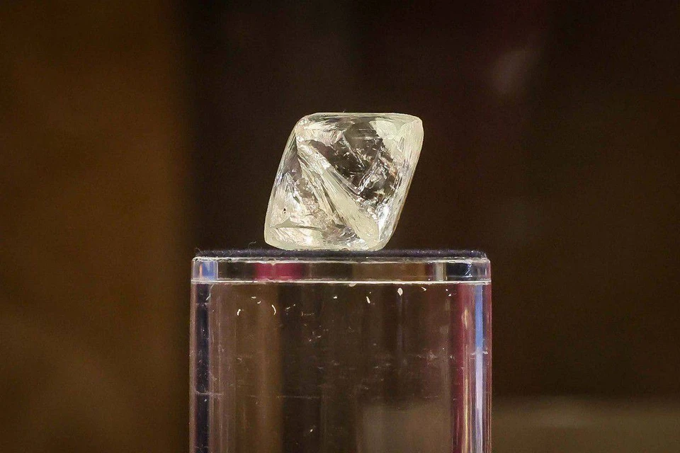 Алмаз стал символом памяти Николаева. Фото: пресс-служба правительства РС (Я)