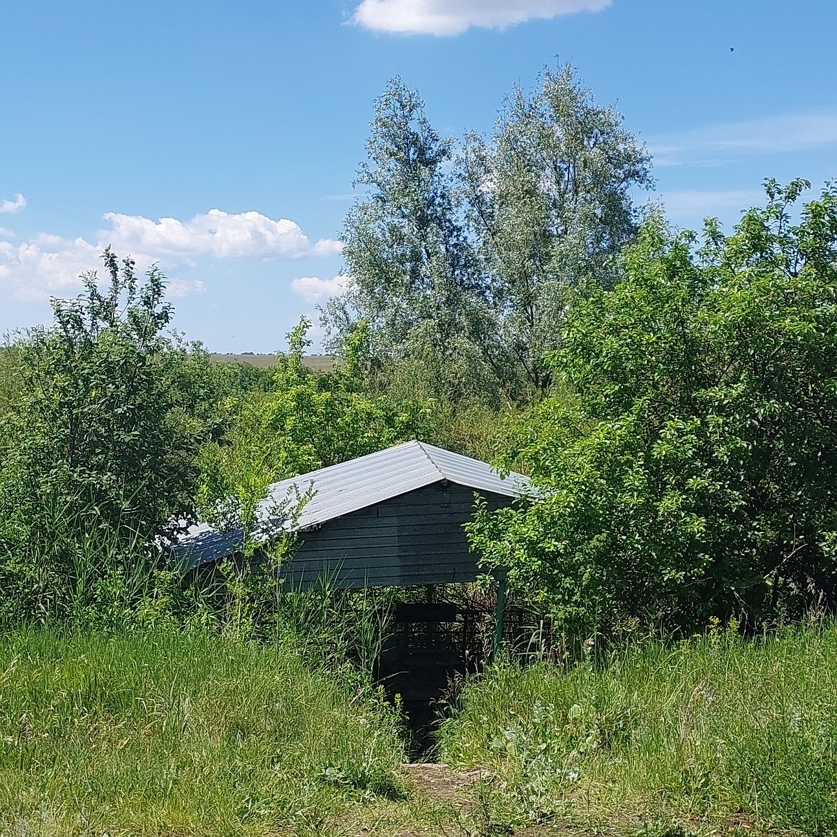 Экологическая акция «Родники Самарской области» пройдет в Нефтегорском  районе - KP.RU