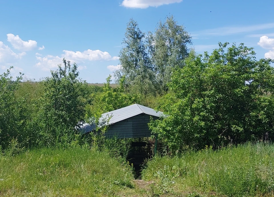 Здесь прячется родник, которому нужна помощь / Фото: Юлия Хомик