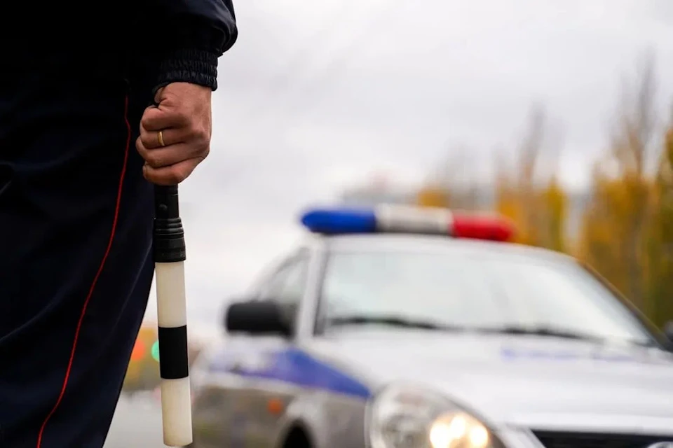 Жительницу Генического района осудили за взятку в тысячу рублей автоинспектору