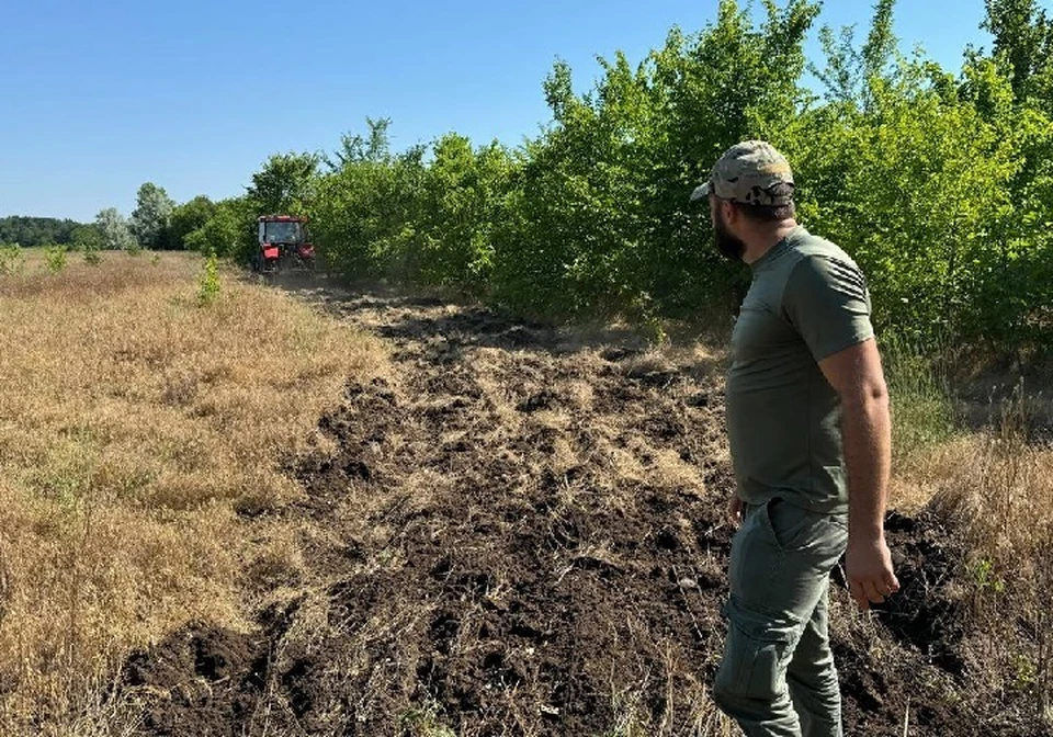 В Голопристанском лесоохотничьем хозяйстве, расположенном в Херсонской области, ведут работы по устройству минерализованных полос. ФОТО: министерство природы Херсонской области