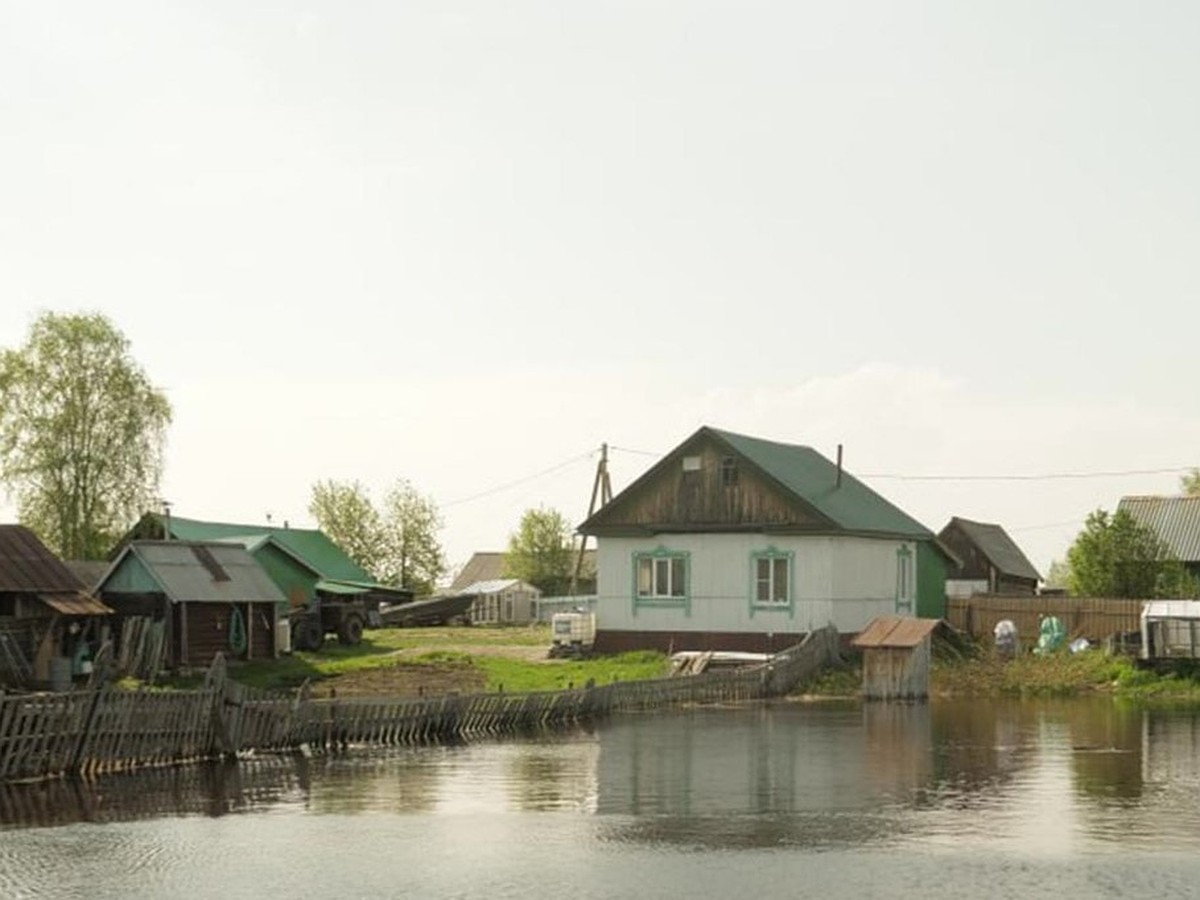 Уровень воды в реке Ляпин в сельском поселении Саранпауль составляет 1158  см - KP.RU