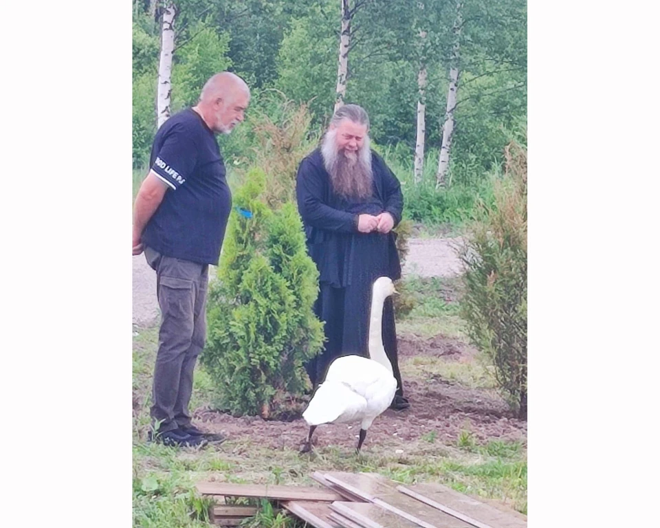 Фото: подворье «Птичий дворик».