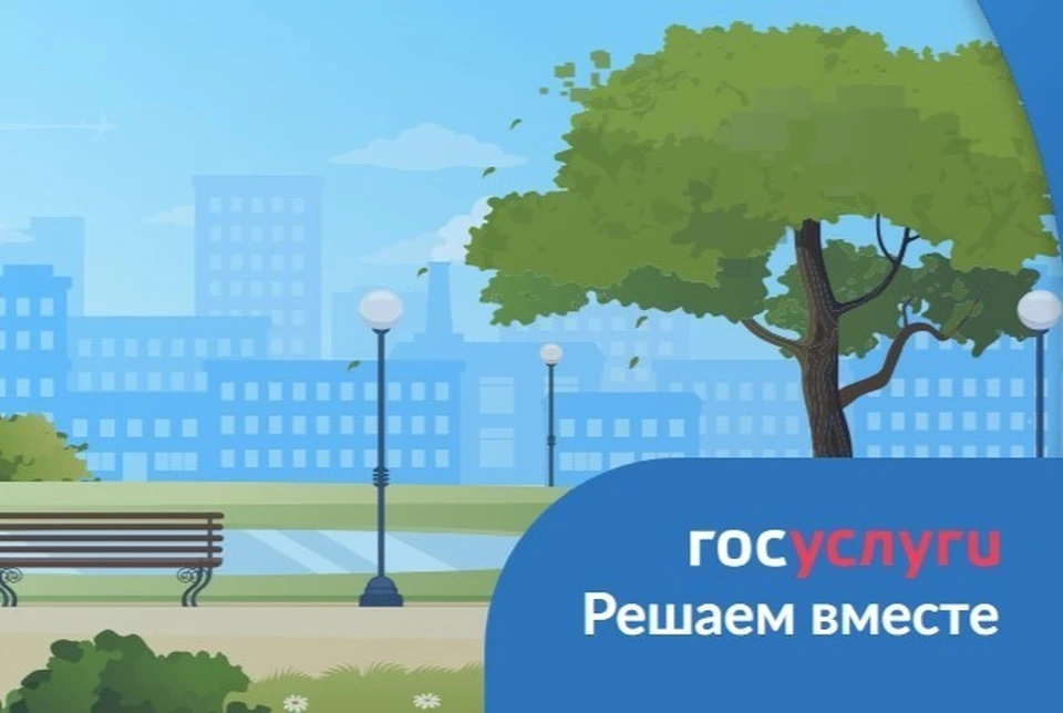 Обращения граждан через платформу «Госуслуги. Решаем вместе» власти отрабатывают очень быстро Фото: архив "КП"
