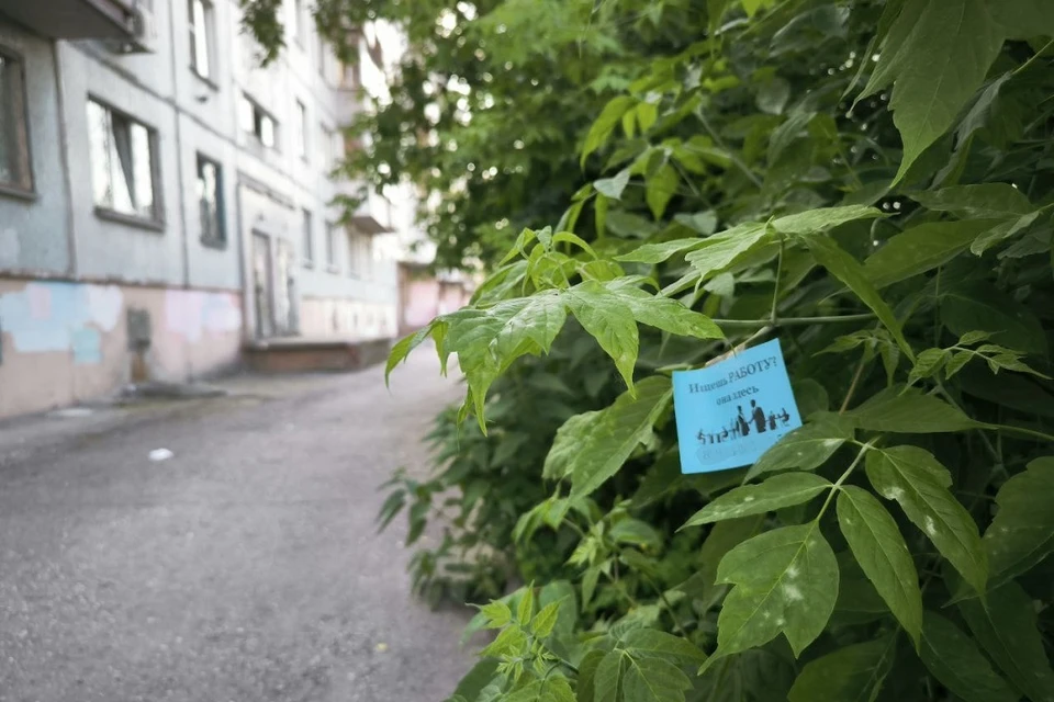 В Заельцовском районе Новосибирска обклеили рекламой деревья и цветы. Фото: читатель КП-Новосибирск Сергей
