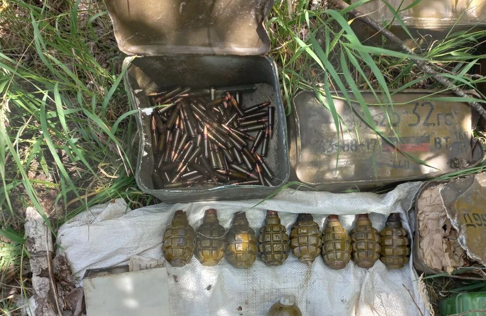 Схрон с боеприпасами обнаружили в лесу