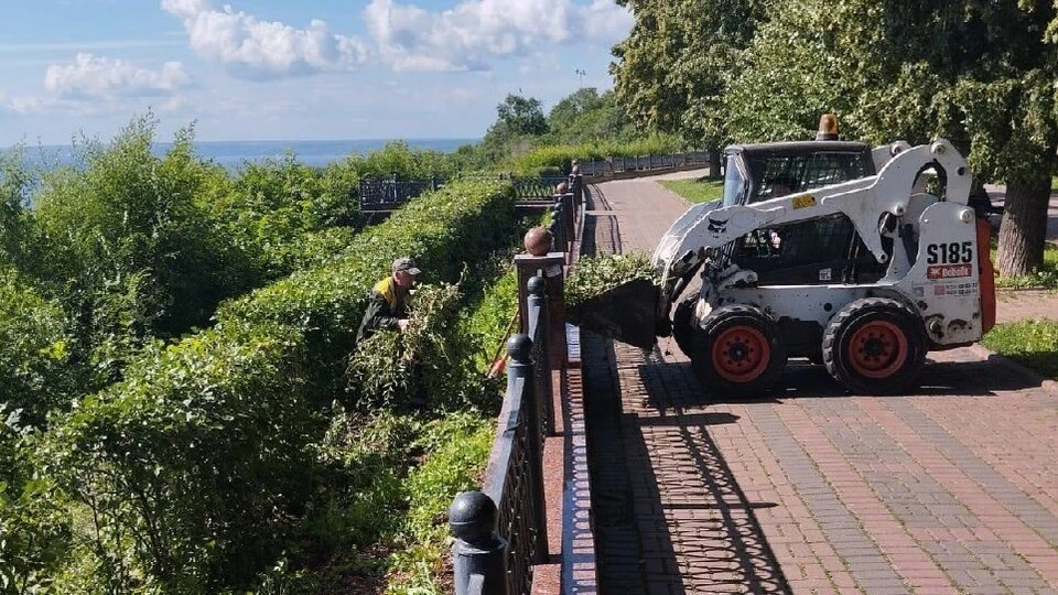 Ульяновские озеленители подровняли зеленый кустарник на Новом Венце. ФОТО: тг-канал Центра по благоустройству и озеленению Ульяновска