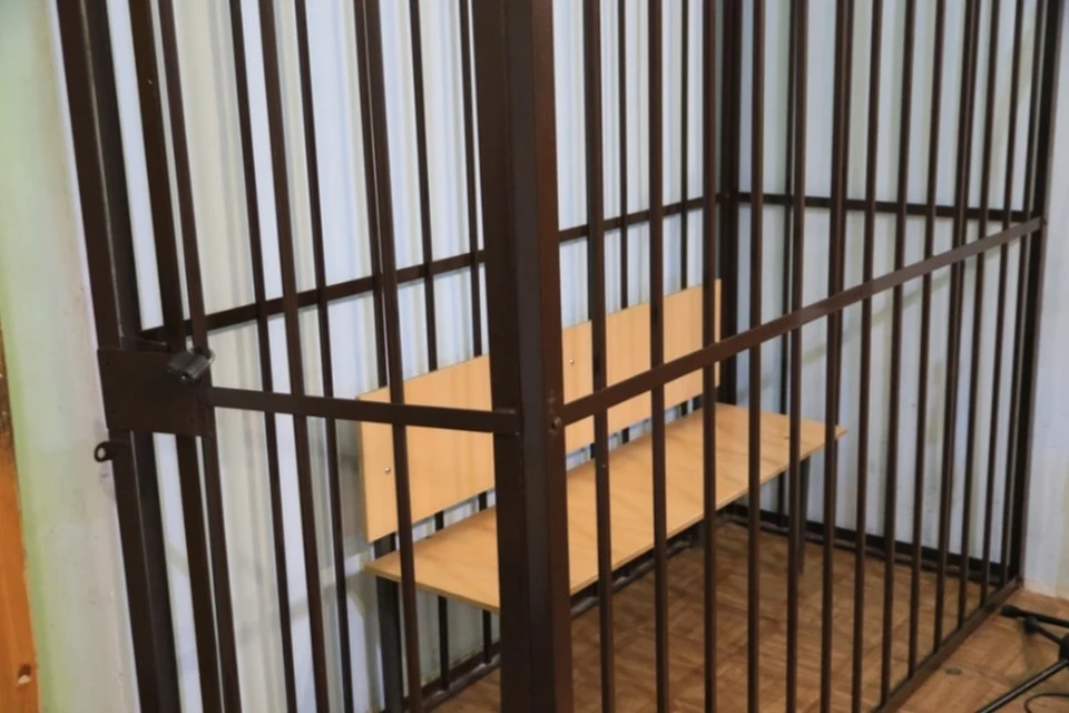 По итогу рассмотрения дела, мужчину приговорили к 4 годам лишения свободы