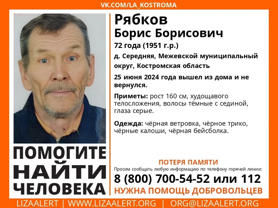 Фото: ДПСО "Лиза Алерт" Костромской области