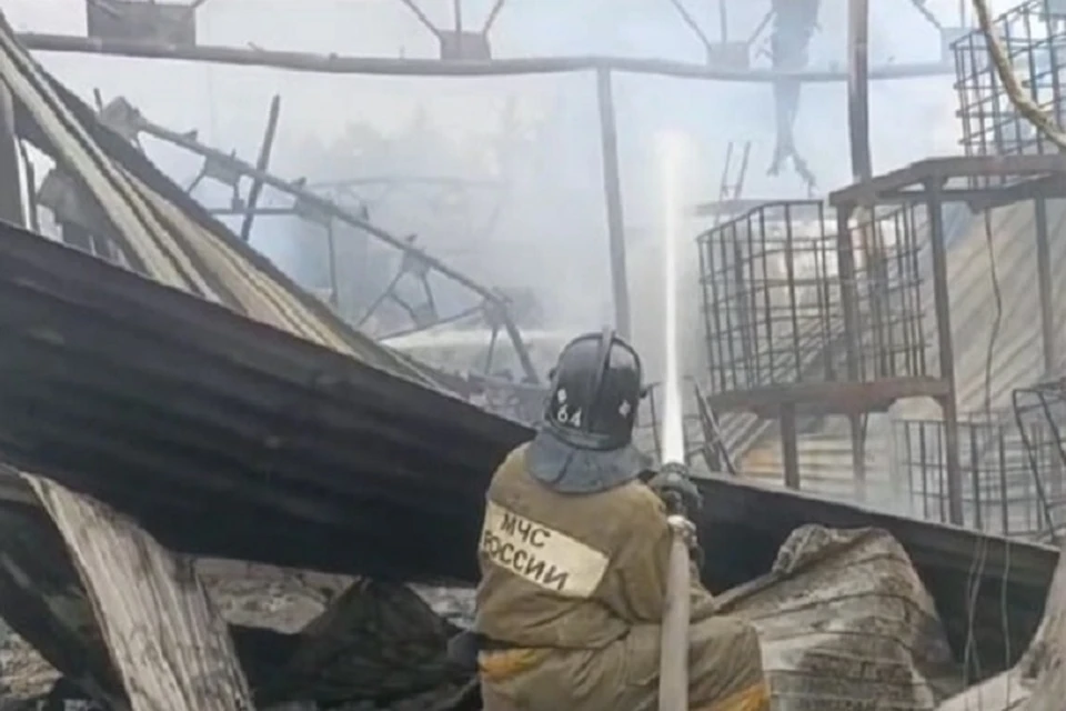 Крупный пожар в поселке Зюзельский произошел 25 июня. Фото: скриншот видео
