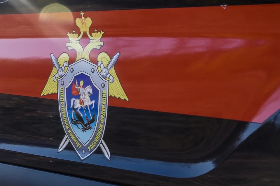 СК Российской Федерации возбудил уголовное дело по факту террористического акта со стороны ВСУ в деревне Городище