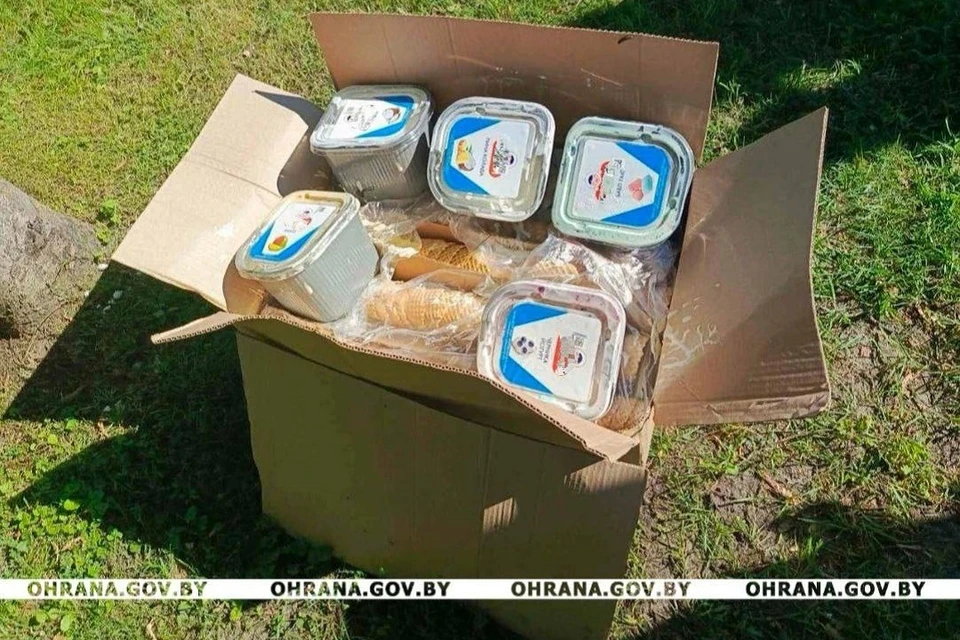 Юные брестчане дважды ограбили одну и ту же торговую точку с мороженым. Фото: Департамент охраны.