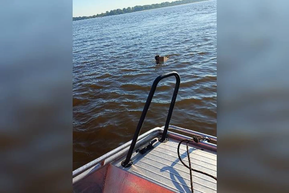 Сотрудники МЧС спасли тонущего в реке нижегородца.