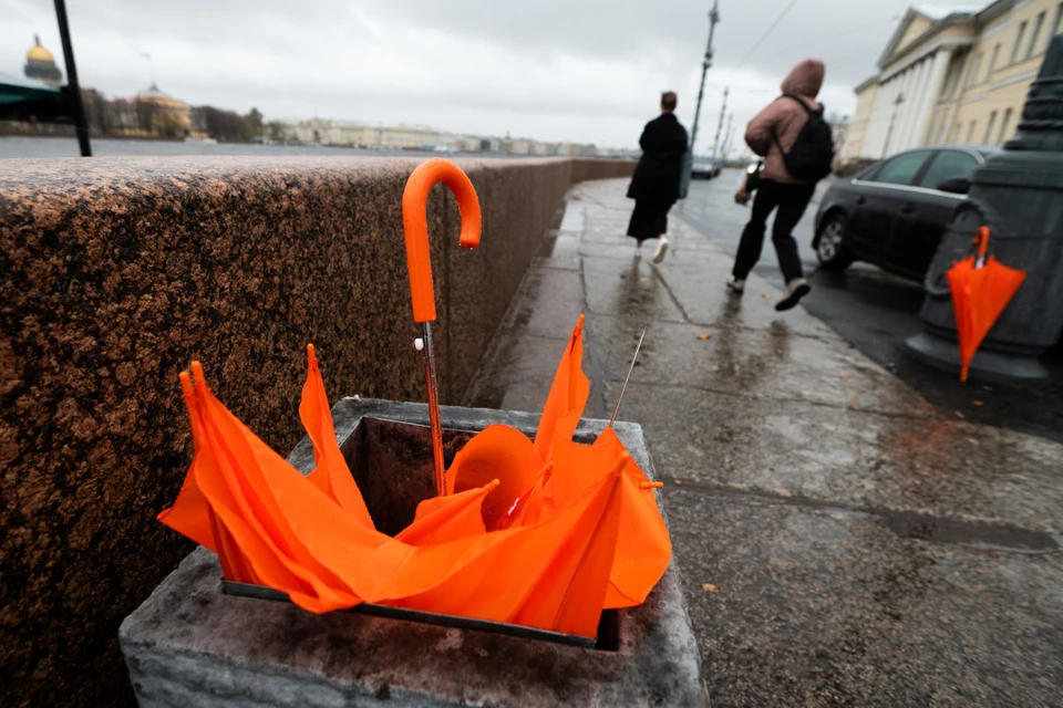 В Петербурге ожидается зной и ливни.
