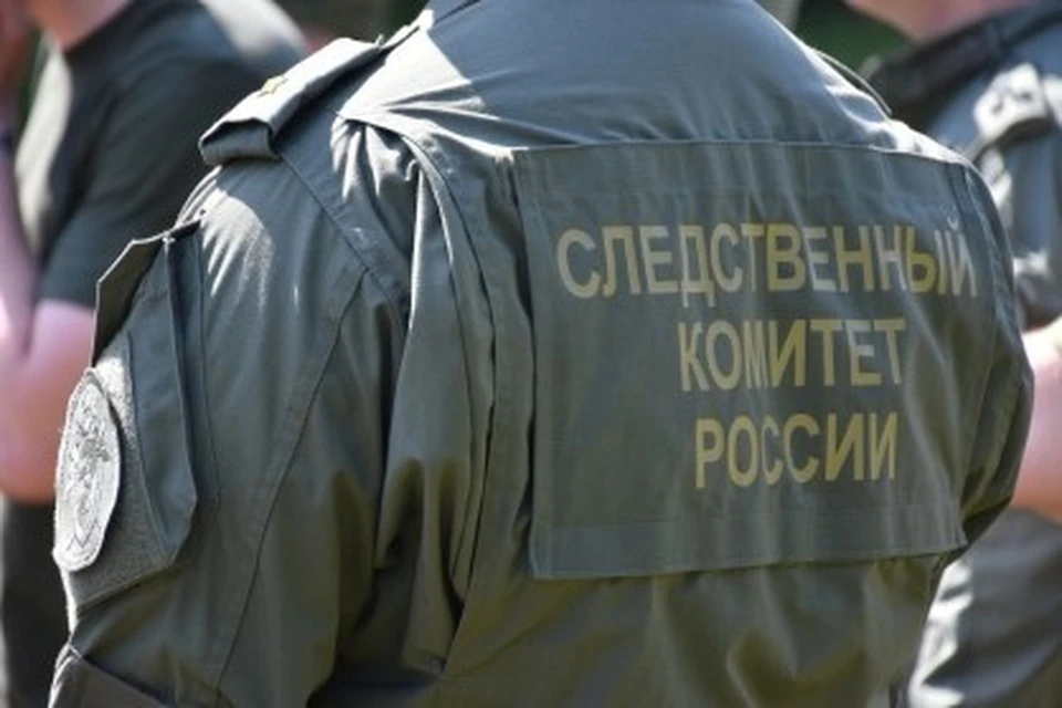 Фото: Пресс-служба регионального СК