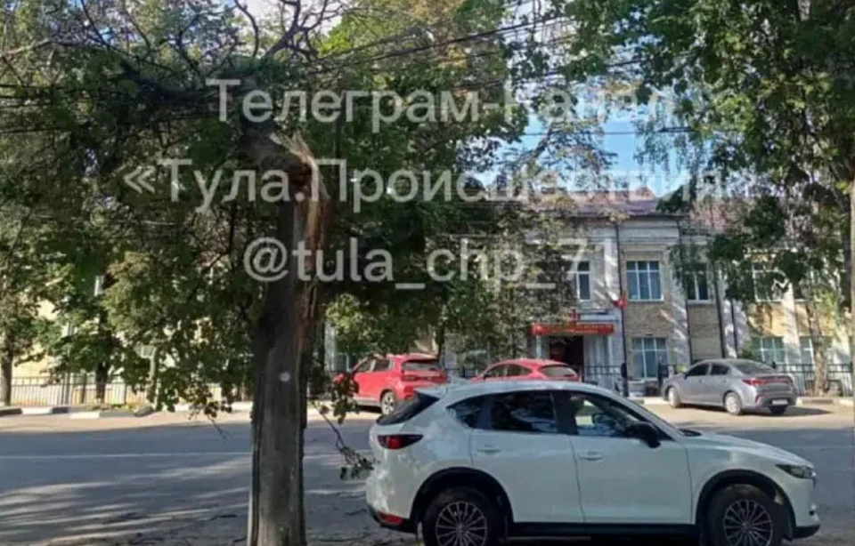 На провода упало дерево на улице Первомайской в Туле. Фото: telegram-канал "Тула. Происшествия"
