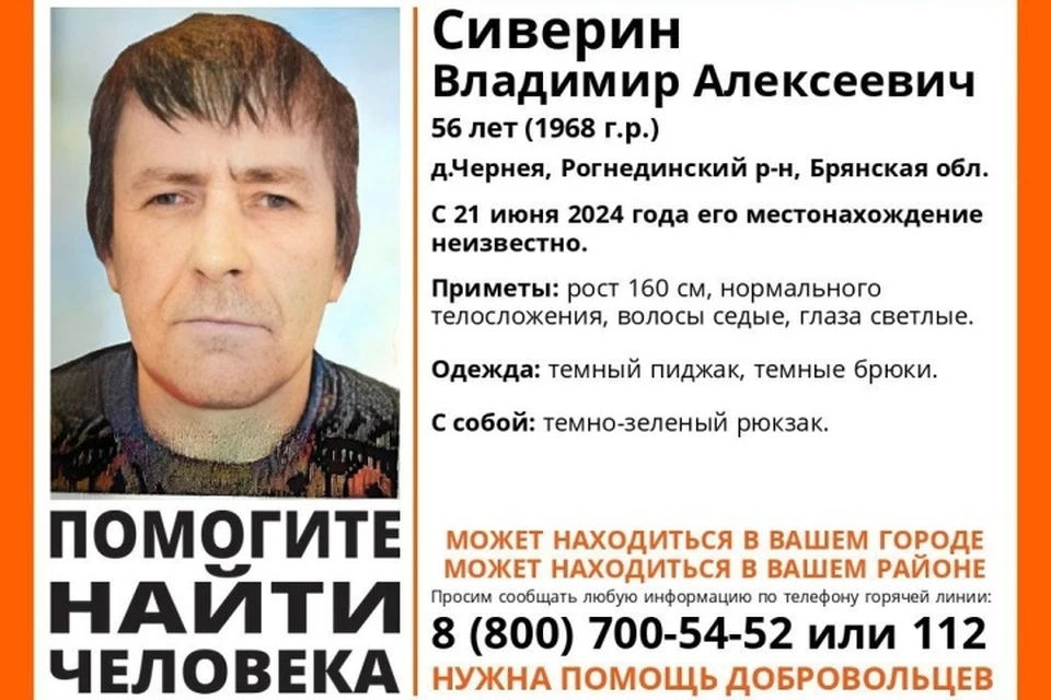 Фото: поисковый отряд "Лиза Алерт", ВКонтакте.