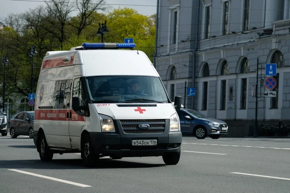 Шестилетнюю девочку госпитализировали с травмами после ДТП на Шуваловском проспекте в Петербурге.