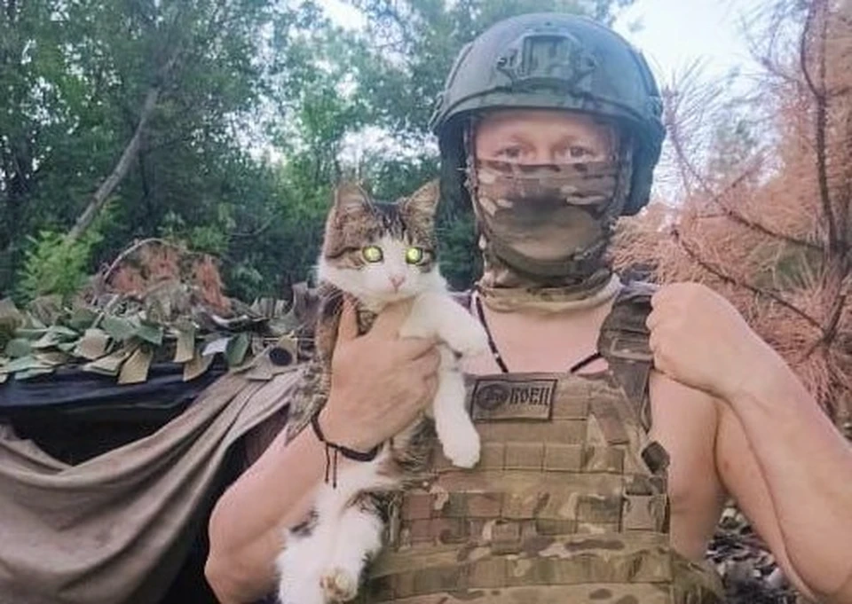 Васька - не просто кот, это напоминание о доме