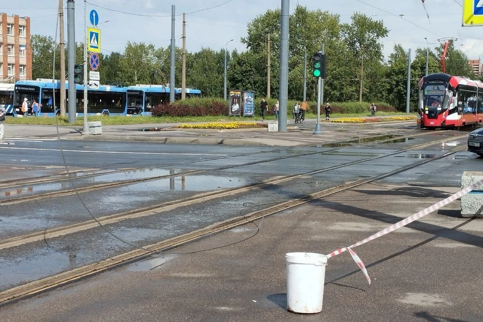 Провода оборвались на пересечении проспекта Ветеранов и Авангардной улицы. Фото: t.me/Megapolisonline