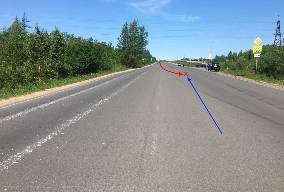 Фото: Госавтоинспекция Коми