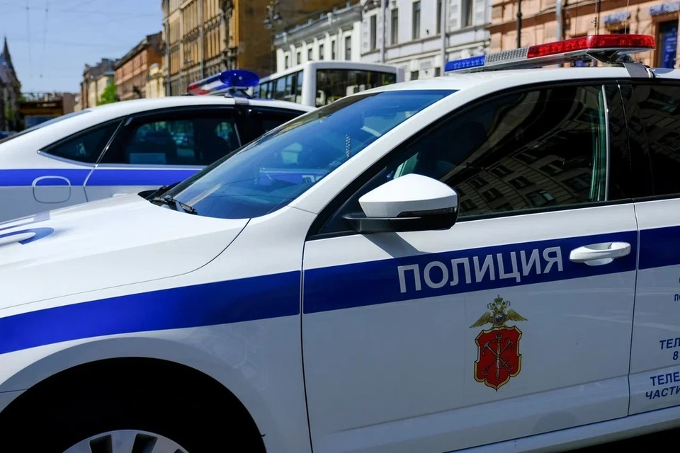 Жительница Красного Села заявила о краже чихуахуа из ее квартиры.