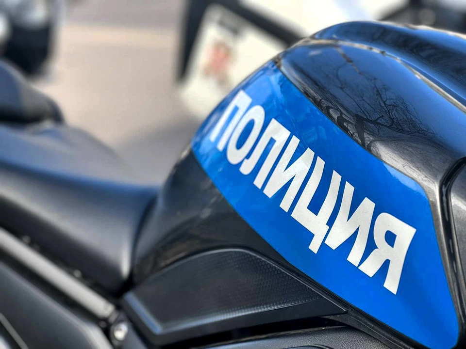 Фото ГУ МВД России по Воронежской области.