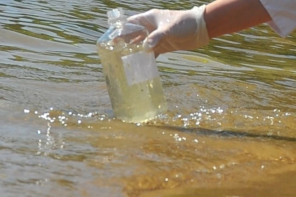 Пробы воды отбирают ежедекадно с мая по октябрь