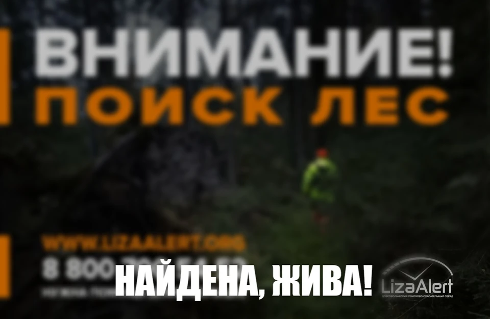 Фото: ДПСО "Лиза Алерт" Костромской области