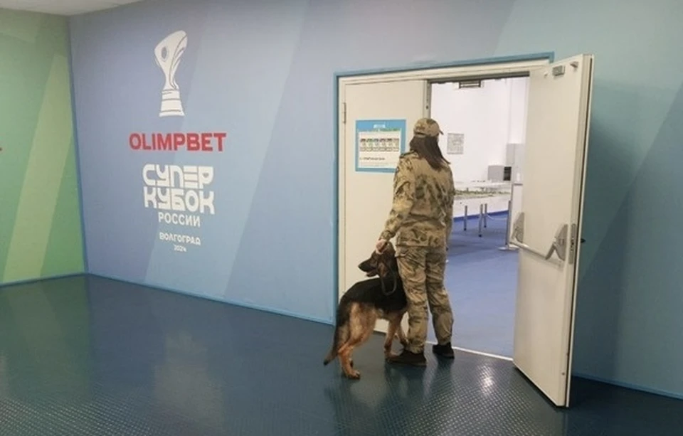 Служебные собаки понюхали каждый уголок на стадионе. Фото: пресс-служба Росгвардии в Волгоградской области.