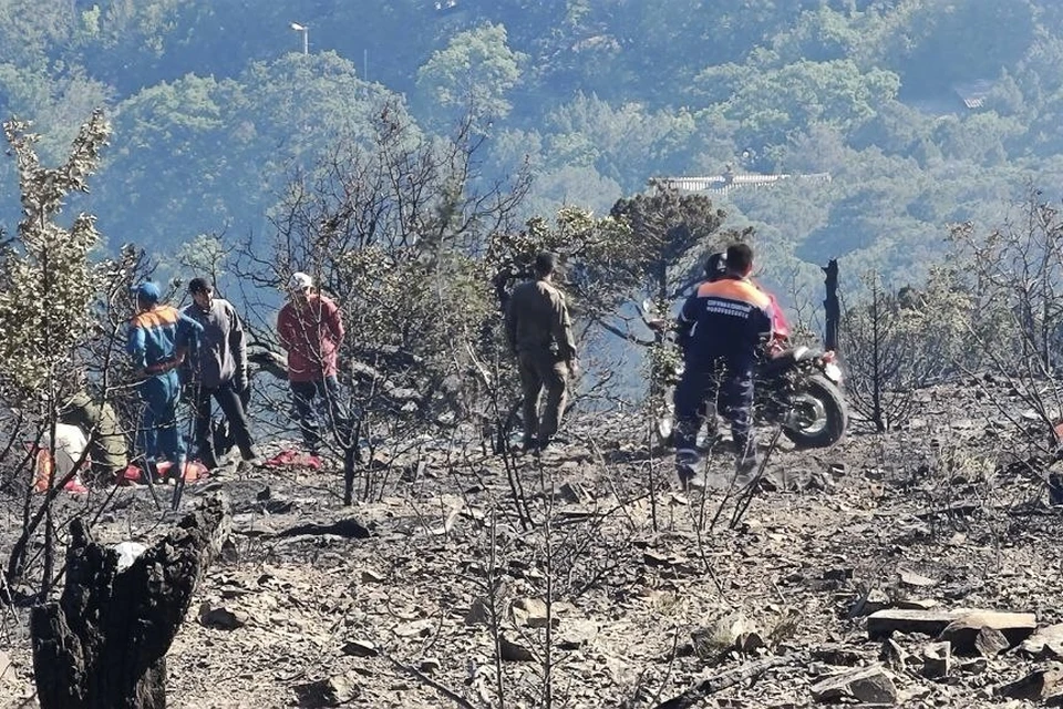 Под Новороссийском локализовали лесной пожар