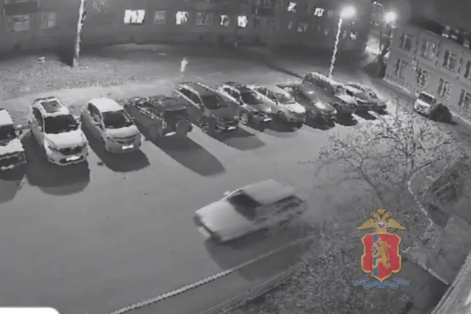 Скриншот: видео МВД по Красноярскому краю