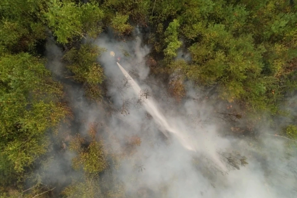 A Haber: лесной пожар в турецком Измире дошел до населенных пунктов