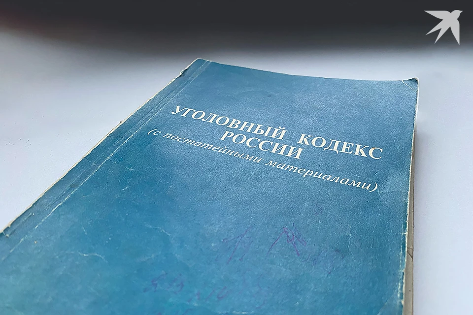 Оленегорца приговорили к 8 годам исправительной колонии строгого режима.