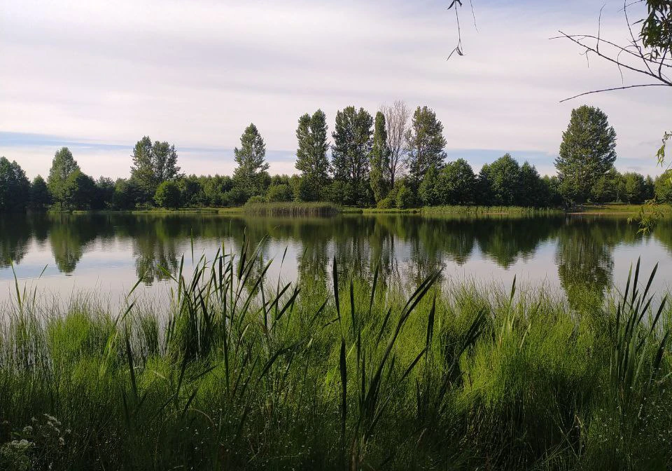 На воде нужно быть внимательным. Фото носит иллюстративный характер