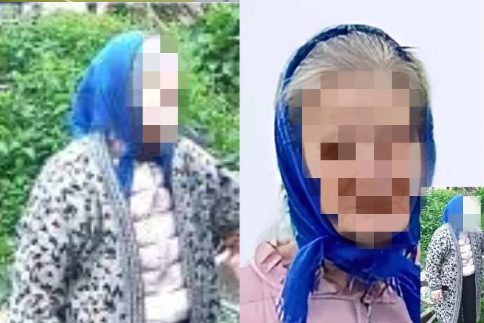 Пенсионерка вышла из дома в неизвестном направлении. Фото:ПСО «ЛизаАлерт» Новосибирской области